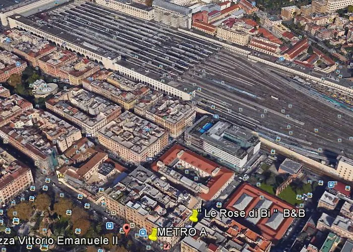 Le Rose Di Bi Roma